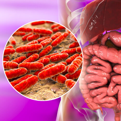 san diego naturopathic doctors 3d render of gut flora bacteria in persons gut