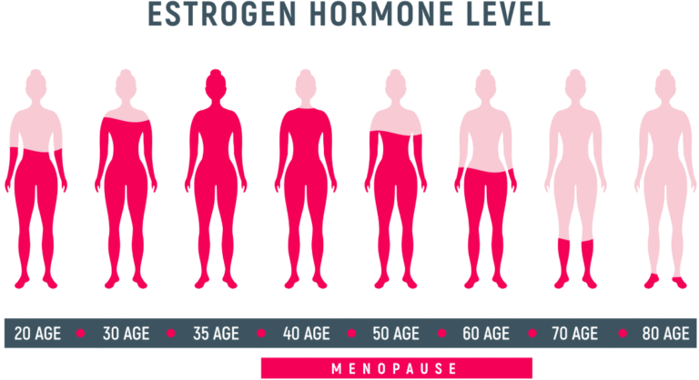 san diego naturopathic doctors estrogen hormones levels menopause illustration