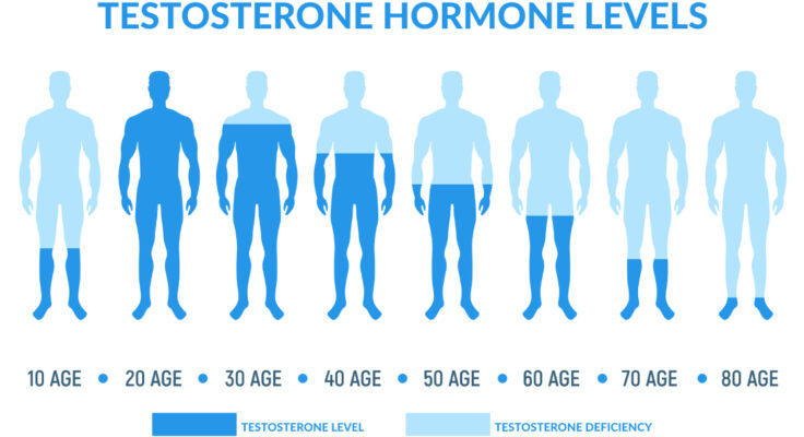 san diego naturopathic doctors male testosteron hormones levels illustration