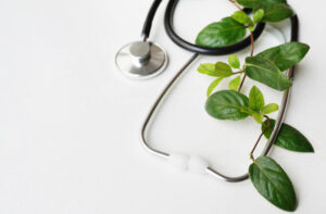 san diego naturopathic doctors stethoscope beside green leaves