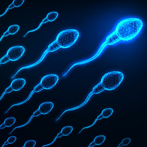 san diego naturopathic doctors 3d illustration human sperm cells