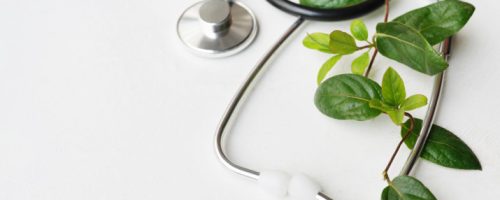 san diego naturopathic doctors stethoscope beside green leaves